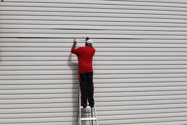 Best Insulated Siding Installation  in Aliso Viejo, CA